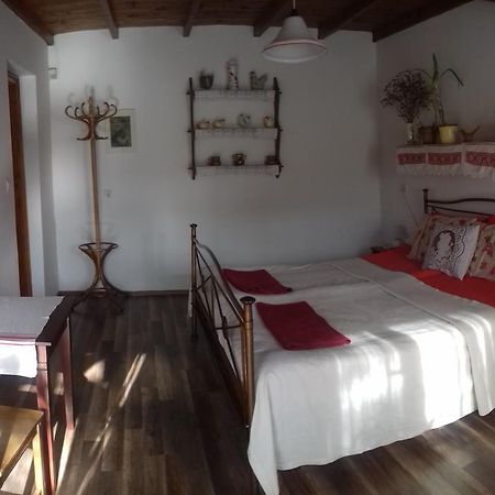 Hotel Rigofuetty Vendeghaz Tiszaalpar Zewnętrze zdjęcie