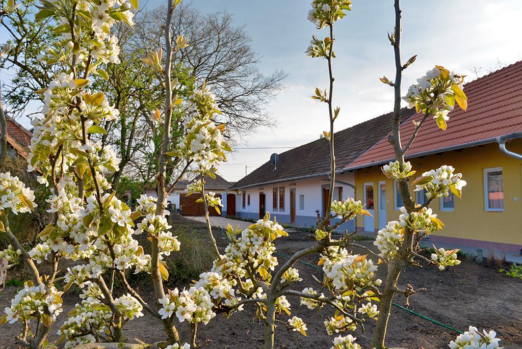 Hotel Rigofuetty Vendeghaz Tiszaalpar Zewnętrze zdjęcie