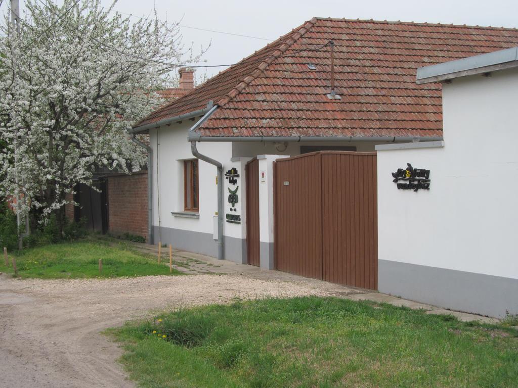 Hotel Rigofuetty Vendeghaz Tiszaalpar Zewnętrze zdjęcie