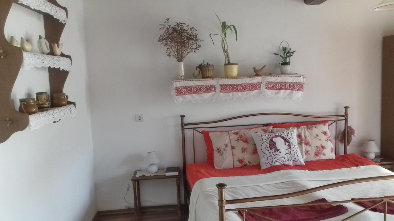 Hotel Rigofuetty Vendeghaz Tiszaalpar Zewnętrze zdjęcie