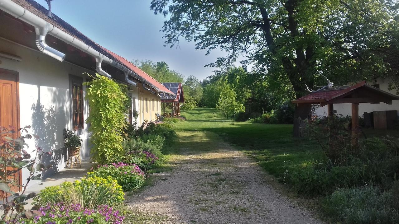 Hotel Rigofuetty Vendeghaz Tiszaalpar Zewnętrze zdjęcie