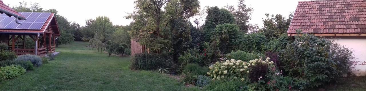 Hotel Rigofuetty Vendeghaz Tiszaalpar Zewnętrze zdjęcie